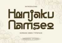 Hanjaku Namseo Font - Featured Image