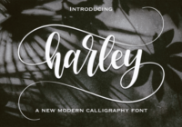 Harley Font - Featured Image