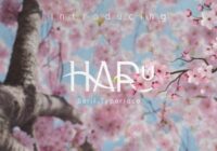 Haru Font - Featured Image