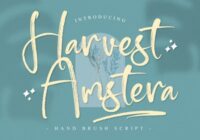 Harvest Amstera Font - Featured Image