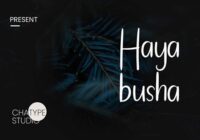 Hayabusha Font - Featured Image