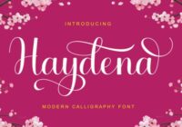 Haydena Font - Featured Image
