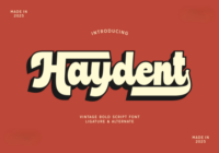 Haydent Font - Featured Image