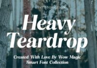 Heavy Teardrop Font - Featured Image