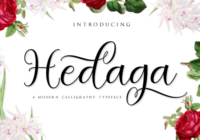 Hedaga Font - Featured Image
