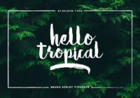 Hello Tropical Font - Featured Image