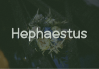 Hephaestus Font - Featured Image
