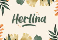 Herlina Font - Featured Image