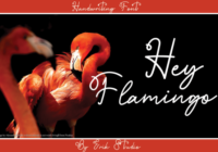 Hey Flamingo Font - Featured Image