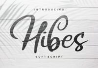 Hibes Font - Featured Image