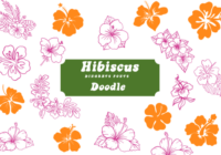 Hibiscus Doodle Font - Featured Image