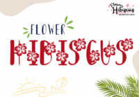 Hibiscus Flower Font - Featured Image