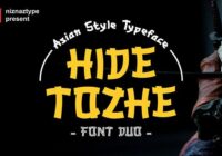 Hide Tozhe Font - Featured Image
