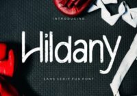 Hildany Font - Featured Image