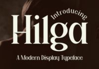Hilga Font - Featured Image