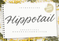 Hippotail Font - Featured Image