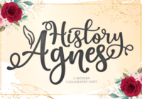 History Agnes Font - Featured Image