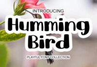 Humming Bird Font - Featured Image
