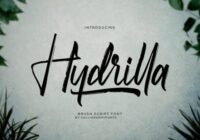 Hydrilla Font - Featured Image