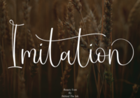 Imitation Font - Featured Image