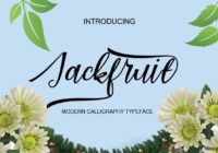 Jackfuit Font - Featured Image