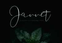 Jannet Font - Featured Image