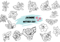 Jasmine Mother Day Font - Featured Image