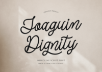 Joaguin Dignity Font - Featured Image