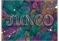 Junco Font - Featured Image