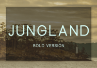 Jungland Bold Font - Featured Image