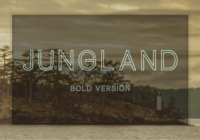 Jungland Outline Bold Font - Featured Image