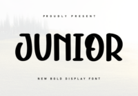 Junior Font - Featured Image