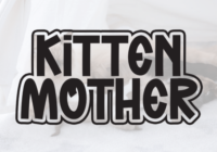 Kitten Mother Font - Featured Image