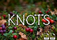 Knots Font - Featured Image