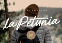 La Petunia Font - Featured Image