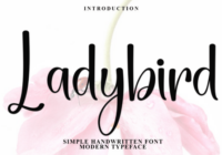 Ladybird Font - Featured Image