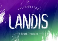 Landis Font - Featured Image