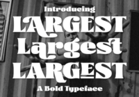 Largest Font - Featured Image