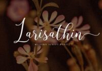 Larisathin Font - Featured Image