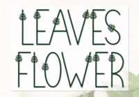 Leaves Flower Font - Featured Image