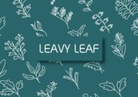 Leavy Leaf Font - Featured Image