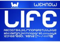 Life for Fun Font - Featured Image