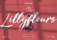 Lillyfleurs Signature Font - Featured Image