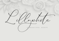 Lillywhite Font - Featured Image