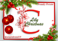 Lily Christmas Monogram Font - Featured Image