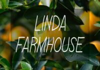 Linda Farmhouse Font - Featured Image