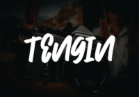Logdi Font - Featured Image