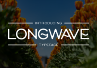 Long Wave Font - Featured Image