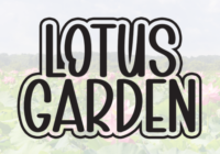 Lotus Garden Font - Featured Image