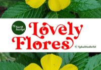 Lovely Flores Font - Featured Image